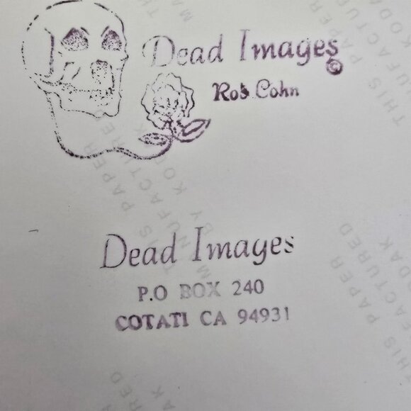 Bill Kreutzman Grateful Dead Photo by Rob Cohn 5/17/89 Frost Palo Alto CA 10 x 8 - Picture 2 of 8